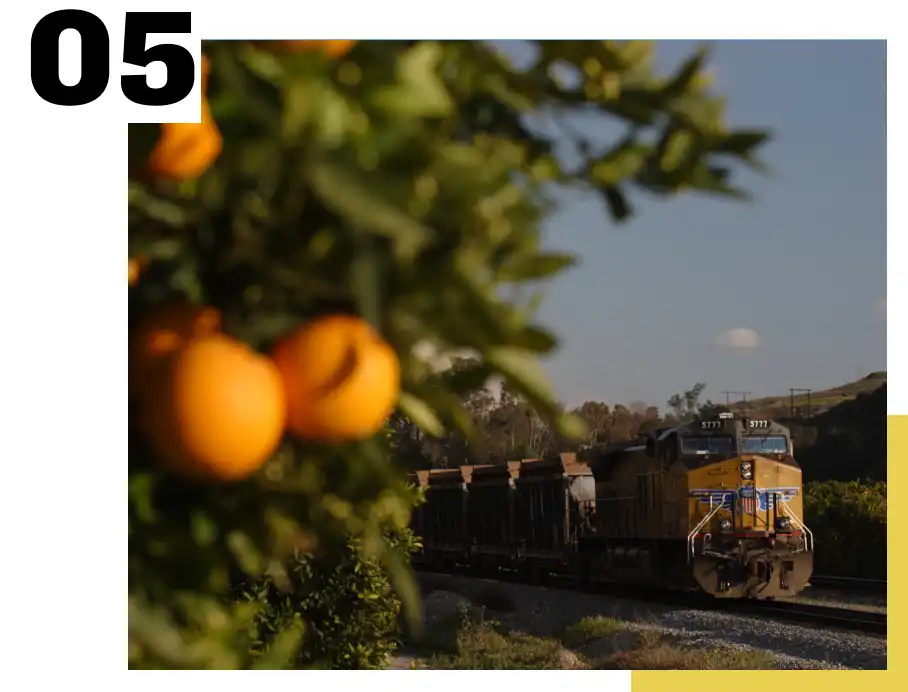 05-environment-r2 train traveling past orange orchard